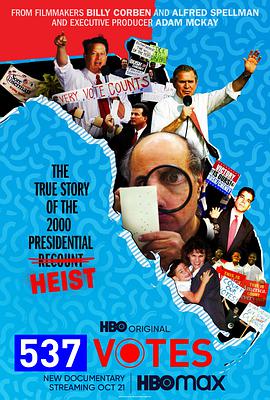 2020纪录《537张选票》迅雷bt下载迅雷下载