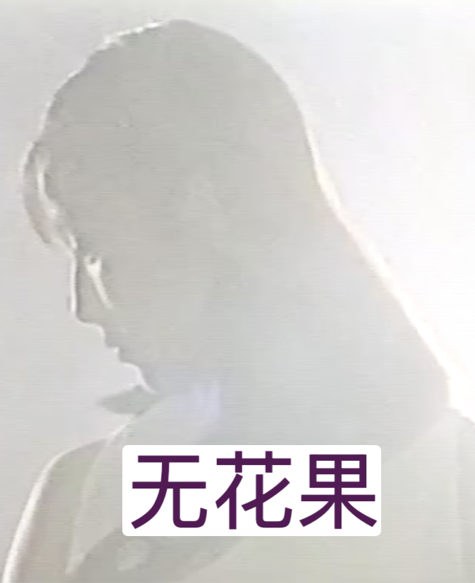 无花果（1996）