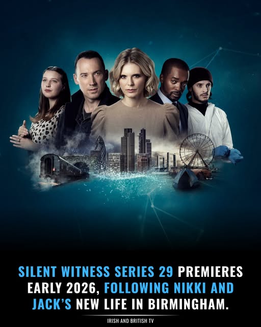 无声的证言 第二十九季