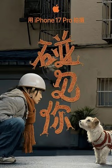 2026喜剧《碰见你》迅雷bt下载迅雷下载