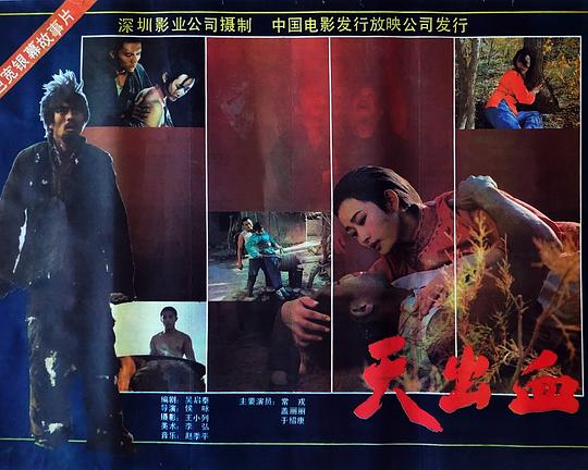 1991剧情《天出血》迅雷bt下载迅雷下载