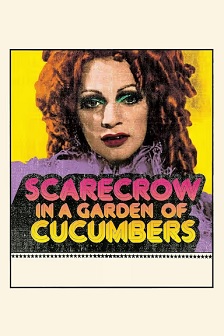 1972喜剧《黄瓜园里的稻草人》迅雷bt下载迅雷下载