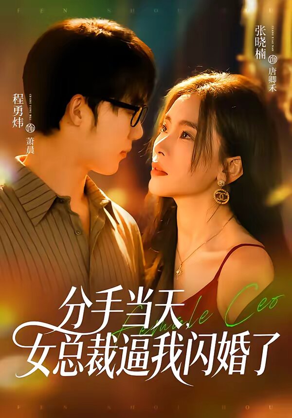 分手当天，女总裁逼我闪婚了