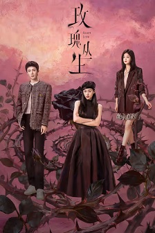 2026剧情《玫瑰丛生》迅雷bt下载迅雷下载