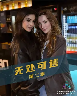 无处可逃 第2季