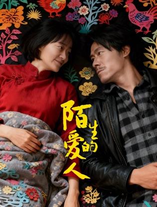 2026爱情《陌生的爱人》迅雷bt下载迅雷下载