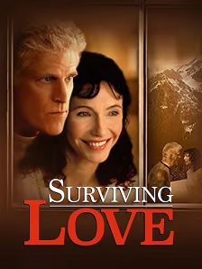 2004剧情《爱的旅途》迅雷bt下载迅雷下载