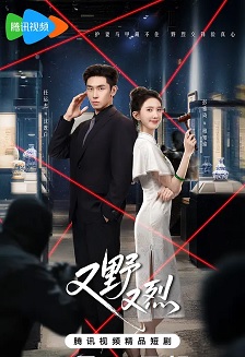 2026国产《又野又烈》迅雷bt下载迅雷下载