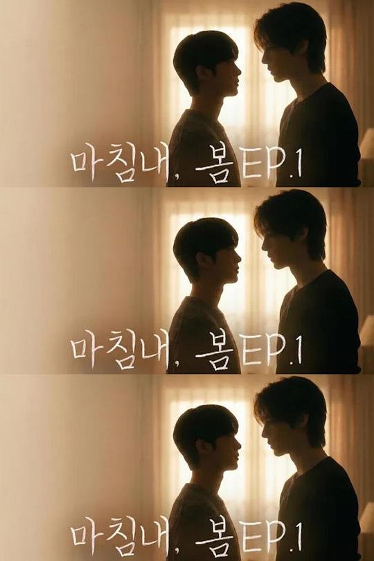 2026韩国《迟来的春天》迅雷bt下载迅雷下载