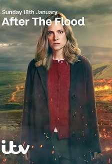 2026惊悚《洪水之后 第二季》迅雷bt下载迅雷下载