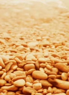 1978纪录《为杰罗姆的笔记》迅雷bt下载迅雷下载