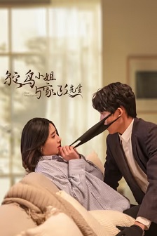 2024国产《鸵鸟小姐与家政先生》迅雷bt下载迅雷下载