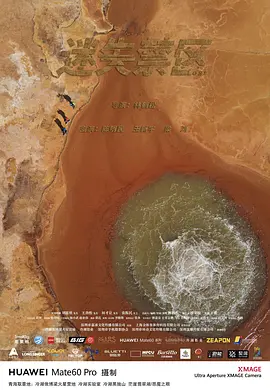 2025剧情《迷失禁区》迅雷bt下载迅雷下载