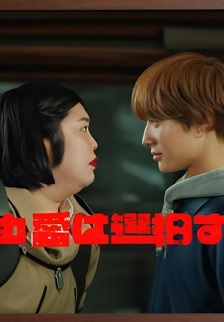 大丸爱会做出选择