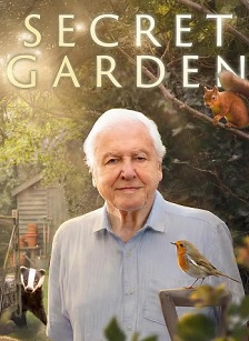 后院里的秘密生物