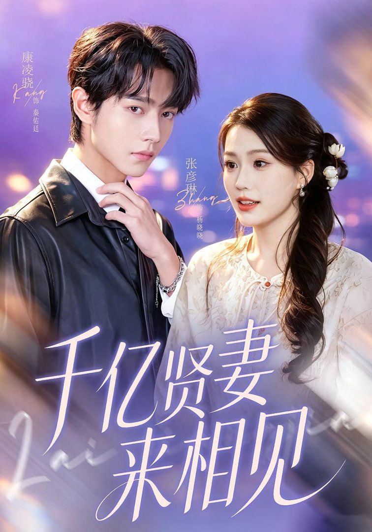 千亿贤妻来相见（钻石贤妻来相见）