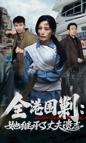 全港围剿:她继承了丈夫遗志