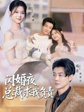 闪婚夜,总裁求我负责