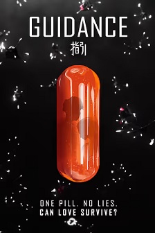 指引