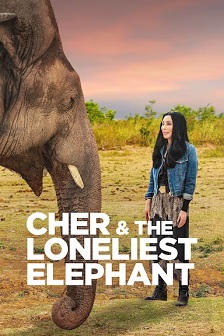 Cher and the Loneliest Elephant