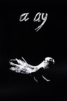哦,月亮