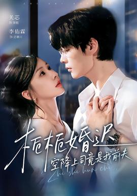 栀栀婚迟,空降上司竟是我前夫