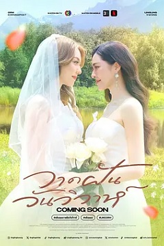绘梦婚礼